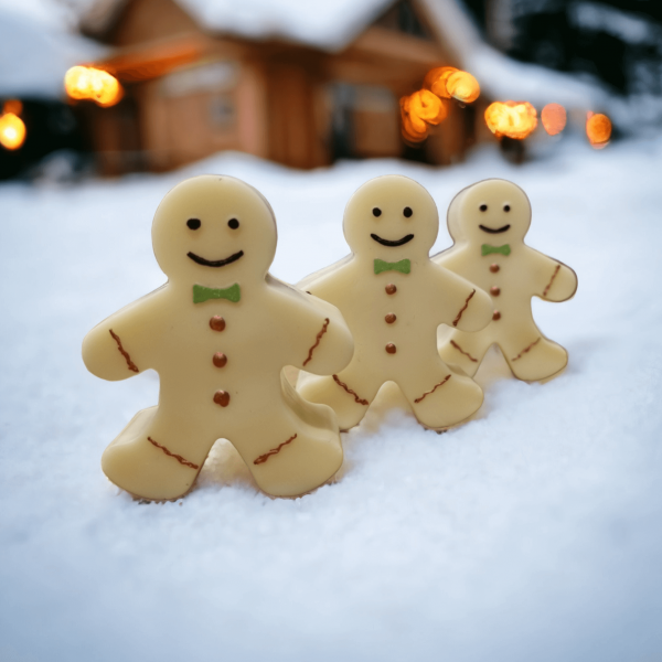 Χριστουγεννιάτικο Σαπούνι Gingerbread Man