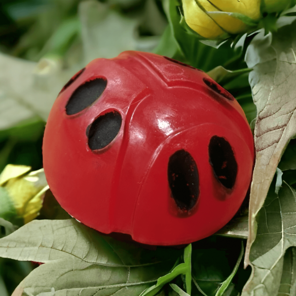 Ladybug soap with honeysuckle fragrance