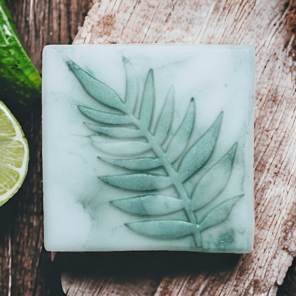 Σαπούνι με άρωμα Lime και Aloe Vera